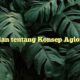 Perincian tentang Konsep Aglomerasi